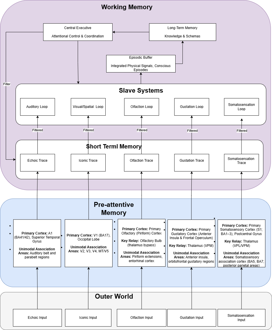 Diagram: outer-world inputs pass through pre-attentive memory (primary and association cortices) into short-term memory traces, are filtered into modality-specific slave systems, and reach the episodic buffer, which exchanges information with long-term memory under the control of the central executive.